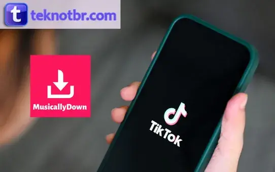 Cara Menggunakan MusicallyDown TikTok Video Downloader