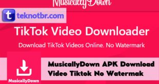 MusicallyDown APK Download Video Tiktok No Watermak