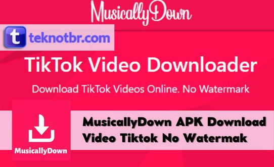 MusicallyDown APK Download Video Tiktok No Watermak
